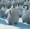 pingvin.gif